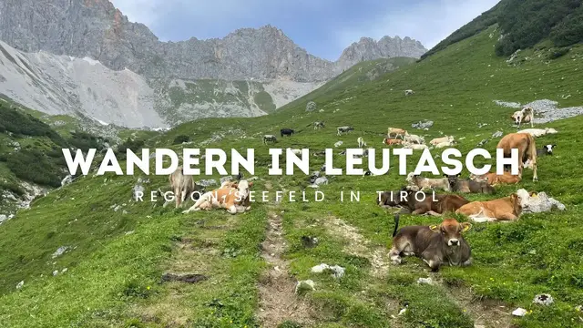 'Video thumbnail for Die schönsten Wanderungen in Leutasch in Tirol'