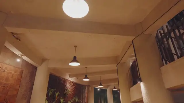 'Video thumbnail for Home Lighting Upgrade'