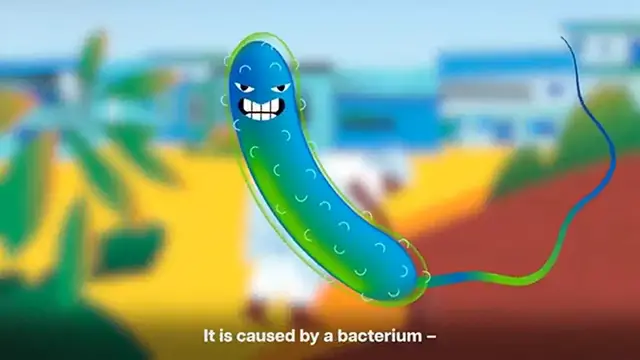 'Video thumbnail for Why Should You Get the Cholera Vaccine?'
