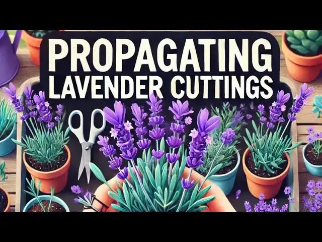'Video thumbnail for How to Propagate Lavender from Cuttings | Quick & Easy Growing Guide'