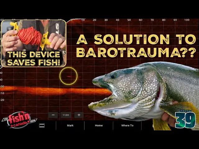 'Video thumbnail for This Device Can SAVE A FISH'S LIFE'
