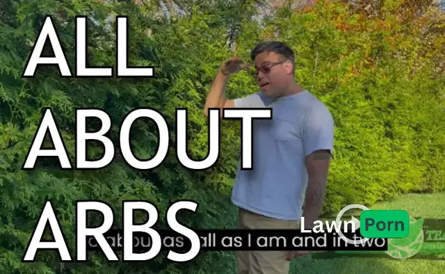'Video thumbnail for All About Arbovitaes  Why They Are So Popular  #SaveYourGreen'