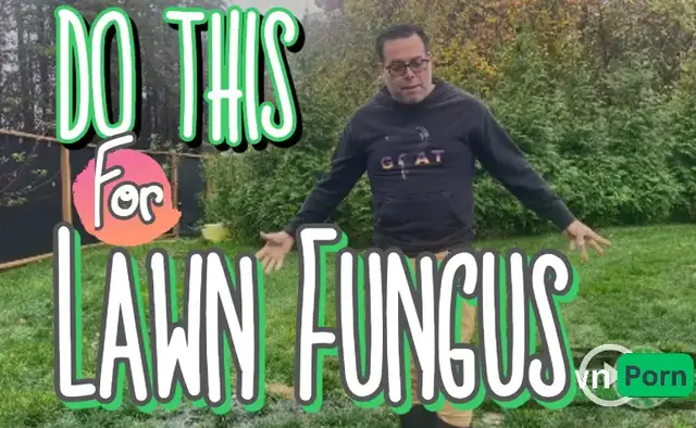 'Video thumbnail for Assessing A Client's Lawn With Fungus and Standing Water Let's Talk Compaction #SaveYourGreen'