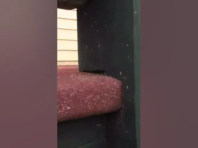 'Video thumbnail for Deck Railing DISASTER'