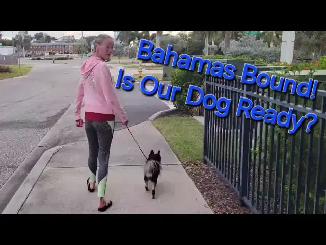 'Video thumbnail for Is Our Sailboat Dog Ready For The Bahamas? | Ep 42 #svaguaazul #sailboat #boat'