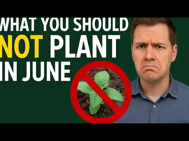 'Video thumbnail for 🚫 What You Should NOT Plant in June | Avoid These Common Gardening Mistakes'