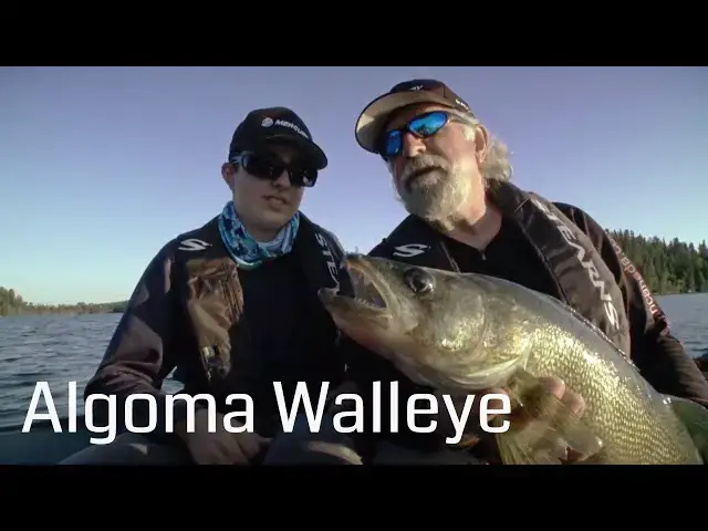 'Video thumbnail for Algoma Walleye at Lodge 88 | Esnagi Lake | Fish'n Canada'