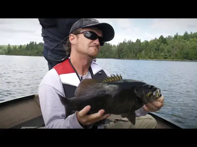 'Video thumbnail for Schooling Smallmouth Smash-Up | Fish'n Canada'
