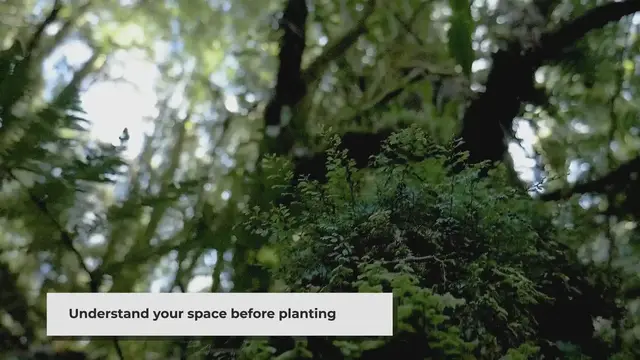 'Video thumbnail for Gardening Tips for Beginners: A Comprehensive Guide'