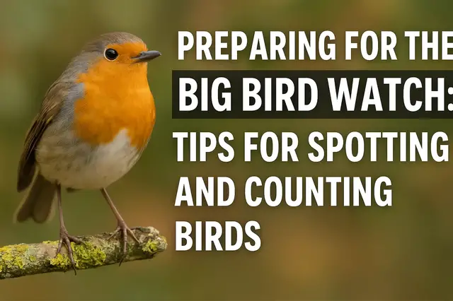 'Video thumbnail for “Preparing for the Big Bird Watch: Tips for Spotting and Counting Birds”'