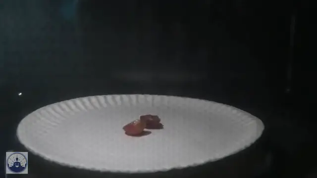 'Video thumbnail for Microwave Experiments - Plasma Grape'