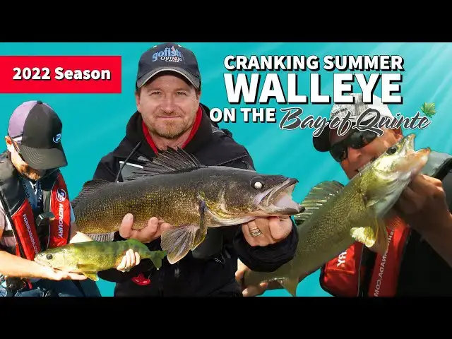 'Video thumbnail for Cranking Summer Walleye on the Bay of Quinte'