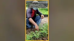 'Video thumbnail for 🏘️ 🧑‍🌾 Quels sont les étapes à suivre pour créer un jardin de rêve ?  🎋 💐'