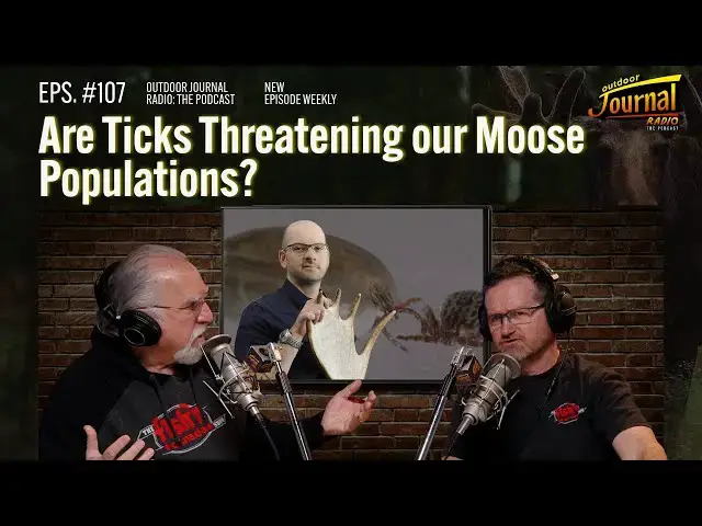 'Video thumbnail for Are Ticks Threatening our Moose Populations | Outdoor Journal Radio ep. 107'