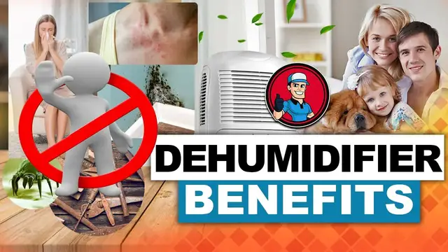 'Video thumbnail for Dehumidifier Benefits 👍: What You’re Missing Out On! | HVAC Training 101'