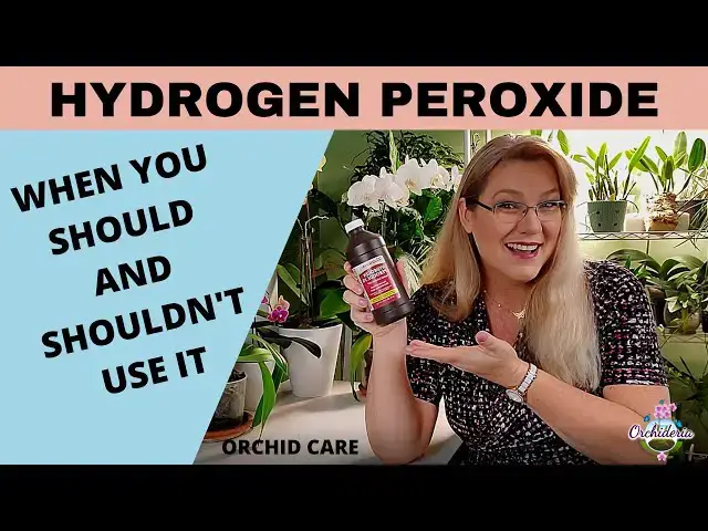 'Video thumbnail for Hydrogen Peroxide in Orchid Care: STOP!!! You're Doing More Harm Than Good'