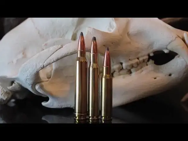 'Video thumbnail for 308 vs 30-06 vs 300 Win Mag: Which One Should You Hunt With?'