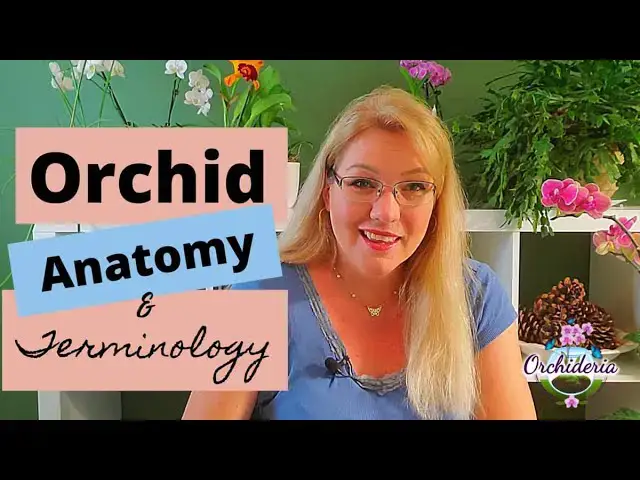 'Video thumbnail for Orchid Anatomy & Terminology - Free PDF Glossary Included for Download!'