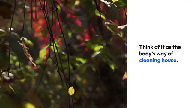 'Video thumbnail for Fasting And Autophagy Explained Simply'