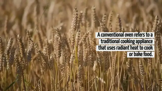 'Video thumbnail for What Does Conventional Oven Mean'