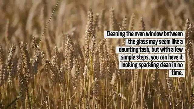 'Video thumbnail for How To Clean Oven Window Between Glass'