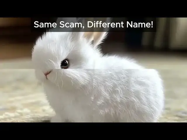 'Video thumbnail for Yoolif BunnyPal Review, Yoolif Bunny Pal Legit Or Scam?'