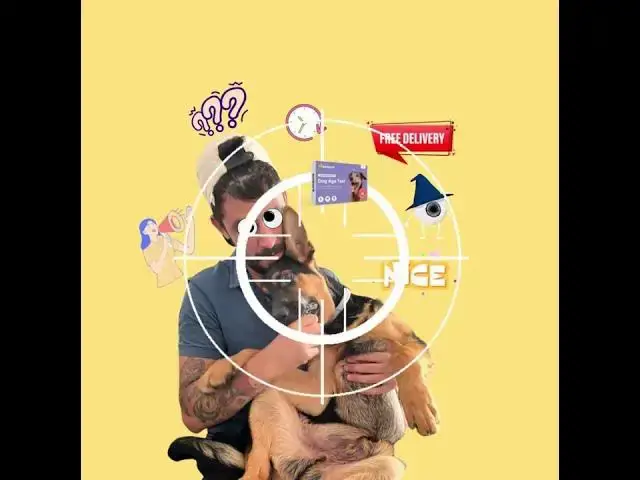 'Video thumbnail for Dog Age Test- (Get it now, pay later)'