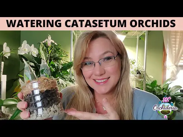 'Video thumbnail for How To Water Catasetum Orchids: 9 Concepts to Master'