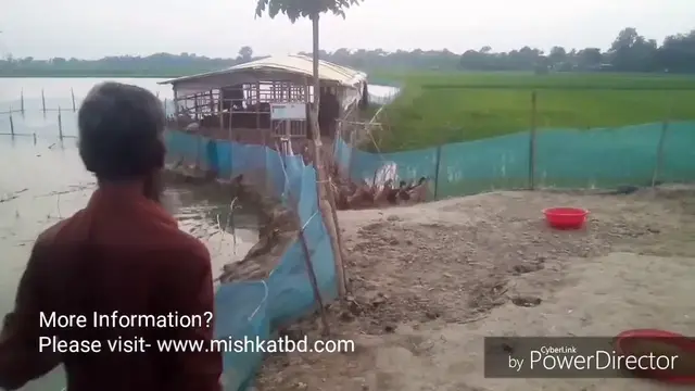 'Video thumbnail for হাঁসের খাদ্য, ডাক গ্রোয়ার ফিড ফরমুলেশন'