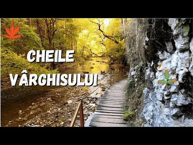 'Video thumbnail for Drumeție în Cheile Vârghișului. Cheile Vârghișului toamna.'