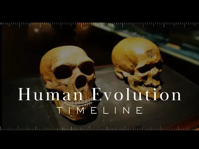 'Video thumbnail for Human Evolution Timeline'