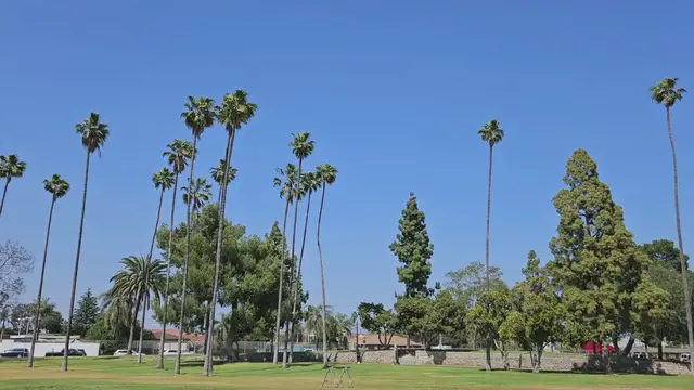 'Video thumbnail for Exploring Anaheim Parks: A Detailed Overview of La Palma Park'