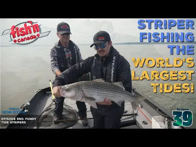 'Video thumbnail for Striper Fishing in the WORLD'S LARGEST TIDES! | The Fish'n Canada Show'