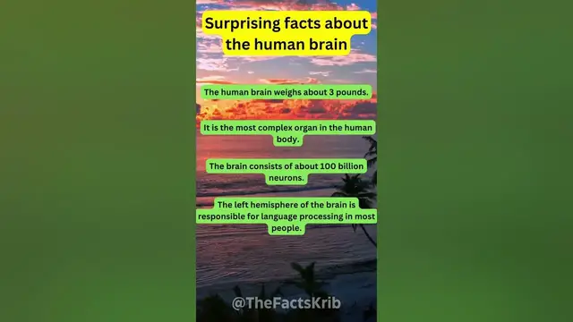 'Video thumbnail for Surprising Facts About The Human Brain'