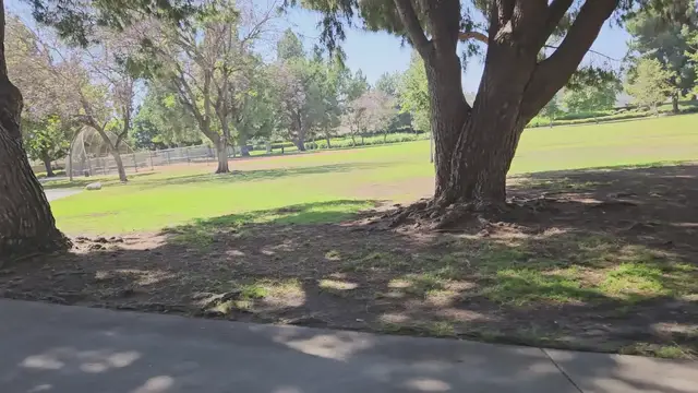 'Video thumbnail for Eucalyptus Park: A Breath of Fresh Air in Anaheim'