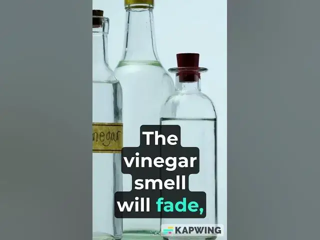 'Video thumbnail for 3 Home remedies to get smells out of leather car seats'