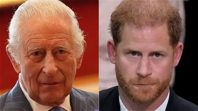 'Video thumbnail for Everything We Know About Prince Harry & King Charles' Peace Talks'