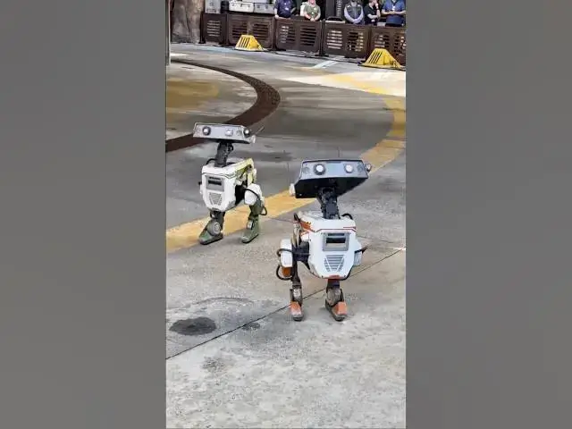 'Video thumbnail for BDX Droids Have Arrived at Walt Disney World!'