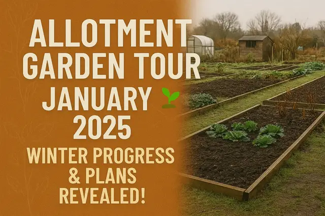 'Video thumbnail for Allotment Garden Tour January 2025 🌱 Winter Progress & Plans Revealed!'