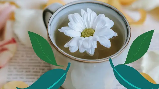 'Video thumbnail for Benefits of White Tea'