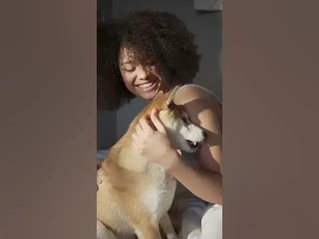 'Video thumbnail for Best of Human Pets Relationships #4'