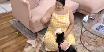 'Video thumbnail for Video: MiMi Scardulla Cuddles Up with Her Broadway Pets, Gypsy & Baby'