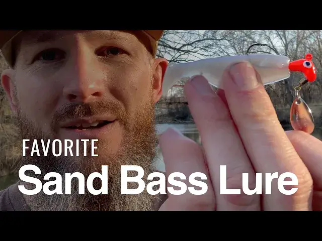 'Video thumbnail for 4 Essential Sand Bass Run Lures For The Spring Spawn'