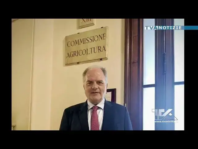 'Video thumbnail for Giuseppe Castiglione nominato Capogruppo di Forza Italia in Commissione agricoltura alla Camera dei'