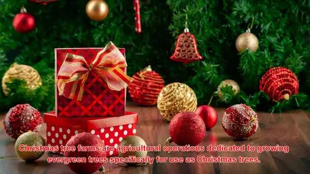 'Video thumbnail for What Are The Most Famous Christmas Tree Farms In The World?'