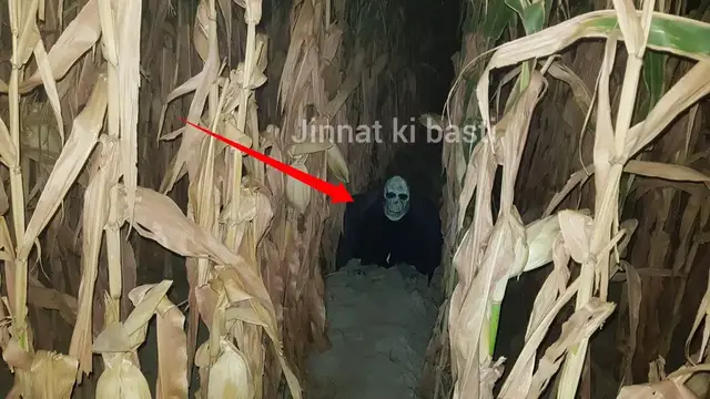 'Video thumbnail for jinnat ki Basti Ye Kya Balla Hai with Rao Shamas Ali #Ep651'