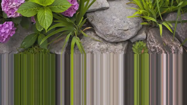 'Video thumbnail for Blossom Your Garden Top Flowers to Plant'