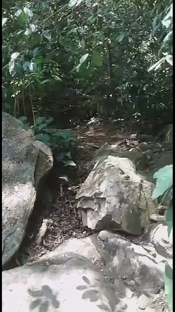 'Video thumbnail for Waterfall'