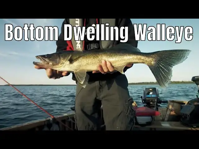 'Video thumbnail for Using Your Traditional Fish Finder For Bottom Dwelling Walleye | Fish'n Canada'
