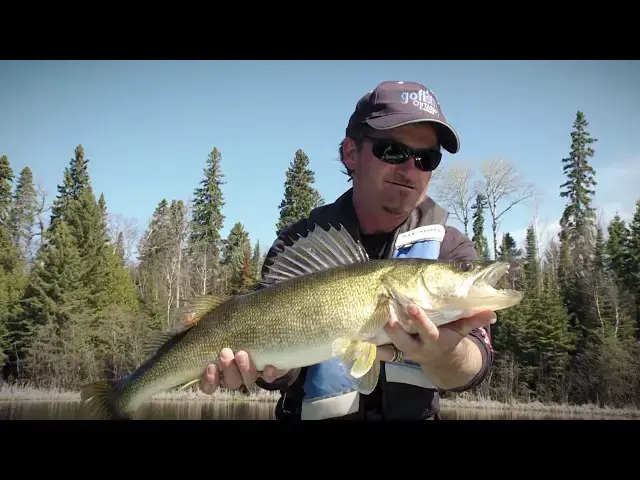 'Video thumbnail for Lake has Trophy Walleye In It | Fish'n Canada'